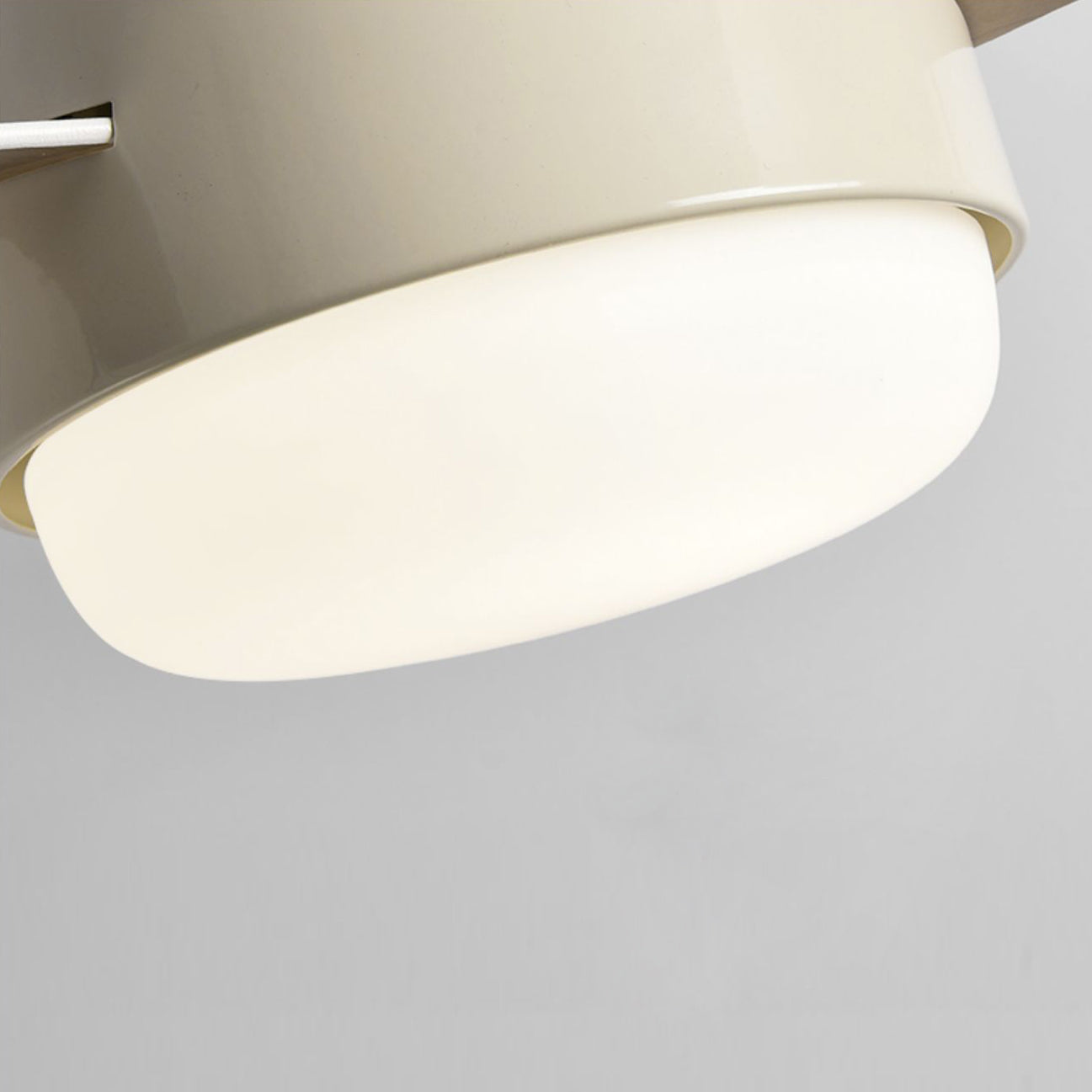 Cirareon Ceiling Fan Light