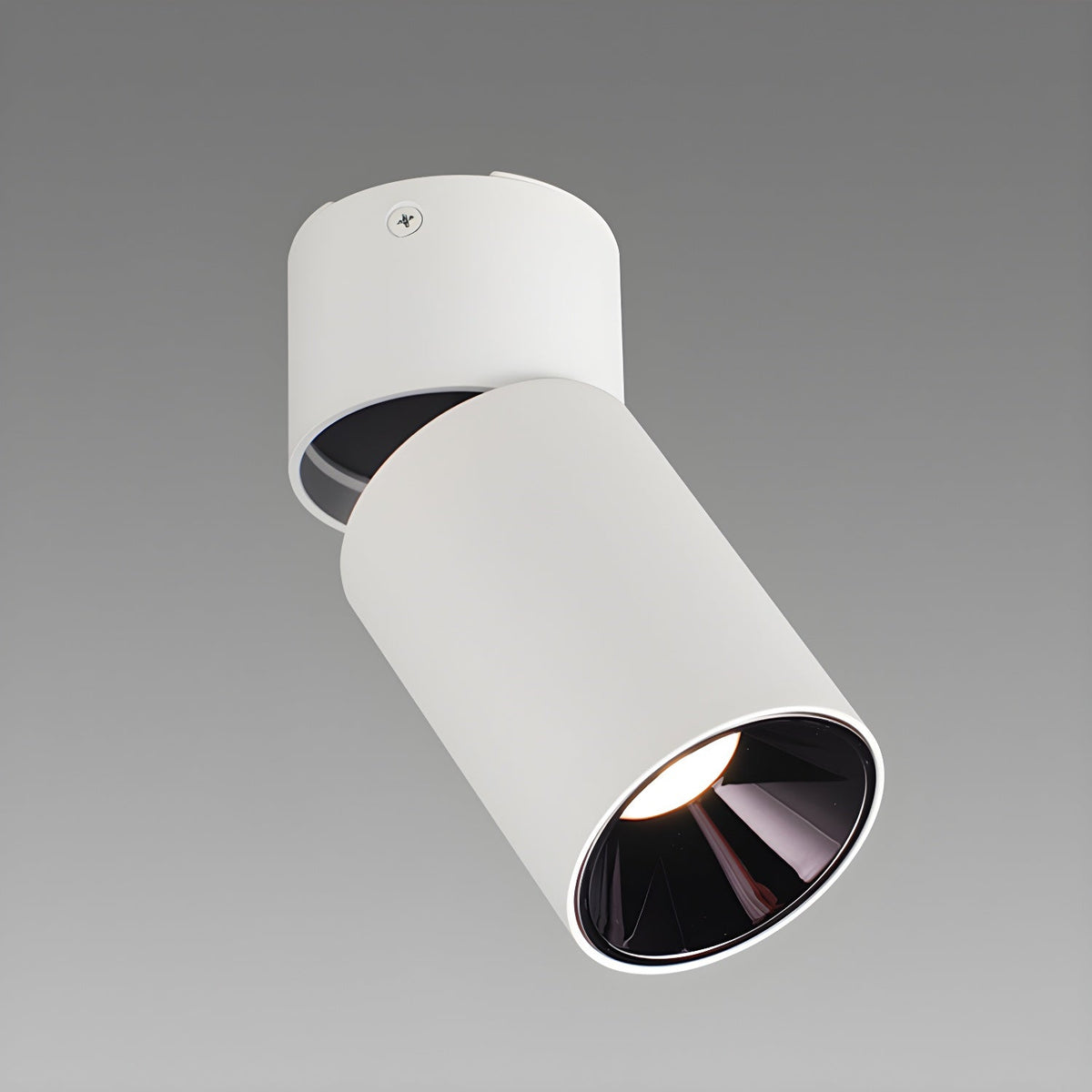 Colven Classic Tube Surface Downlight Ceiling lamp