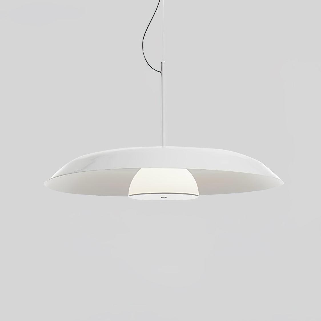 Calyx Acrylic Artistic Pendant Lamp
