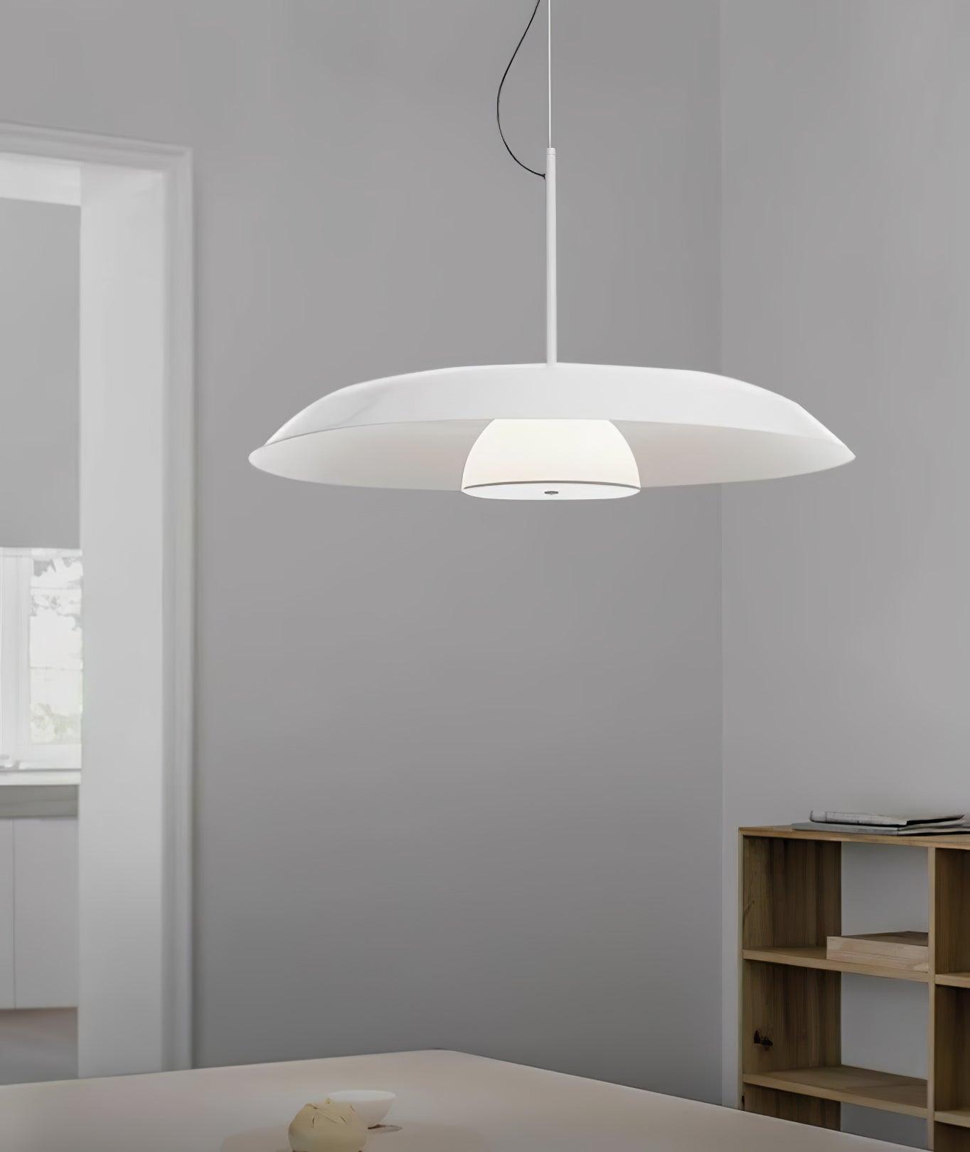 Calyx Acrylic Artistic Pendant Lamp