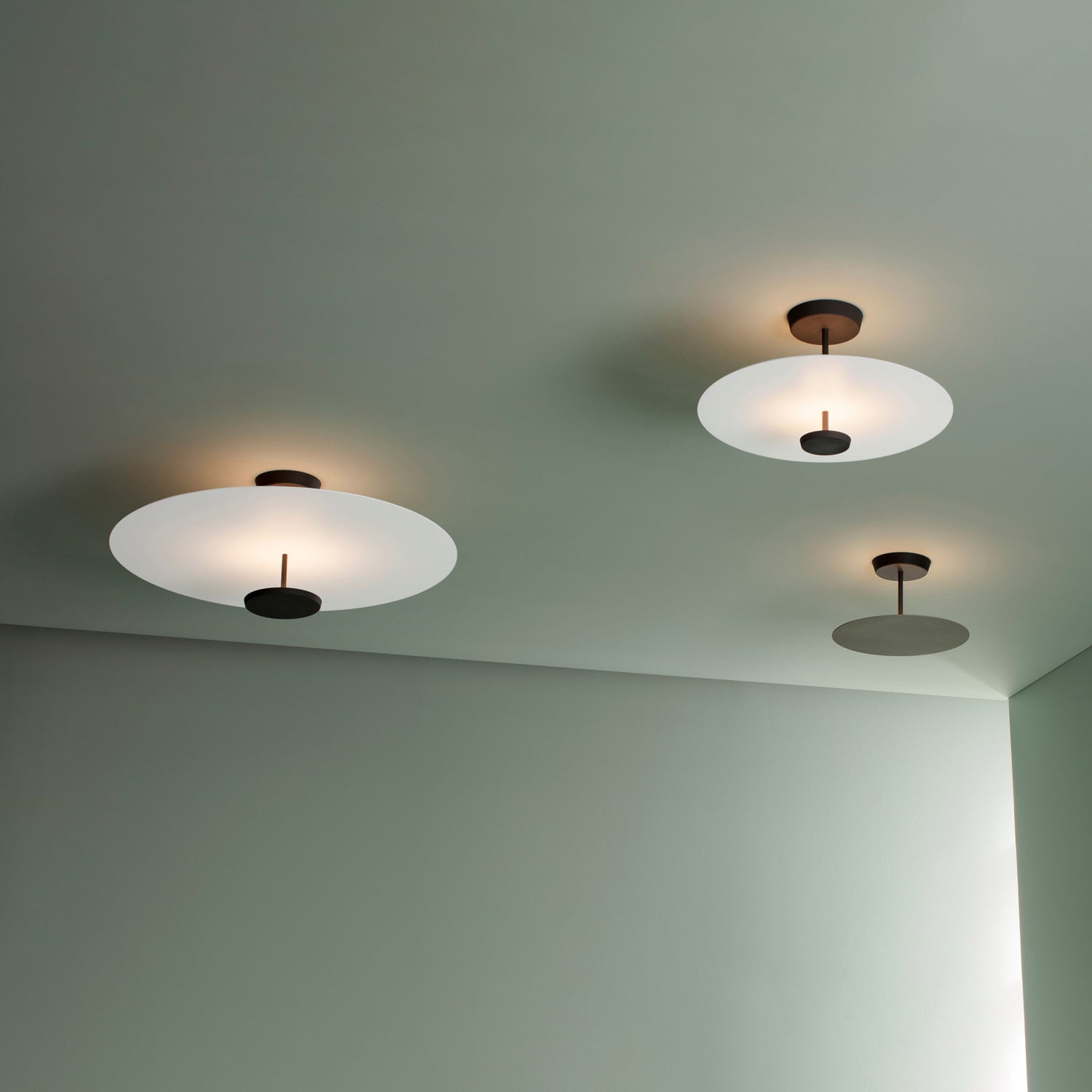Miraline Modern Ceiling Light