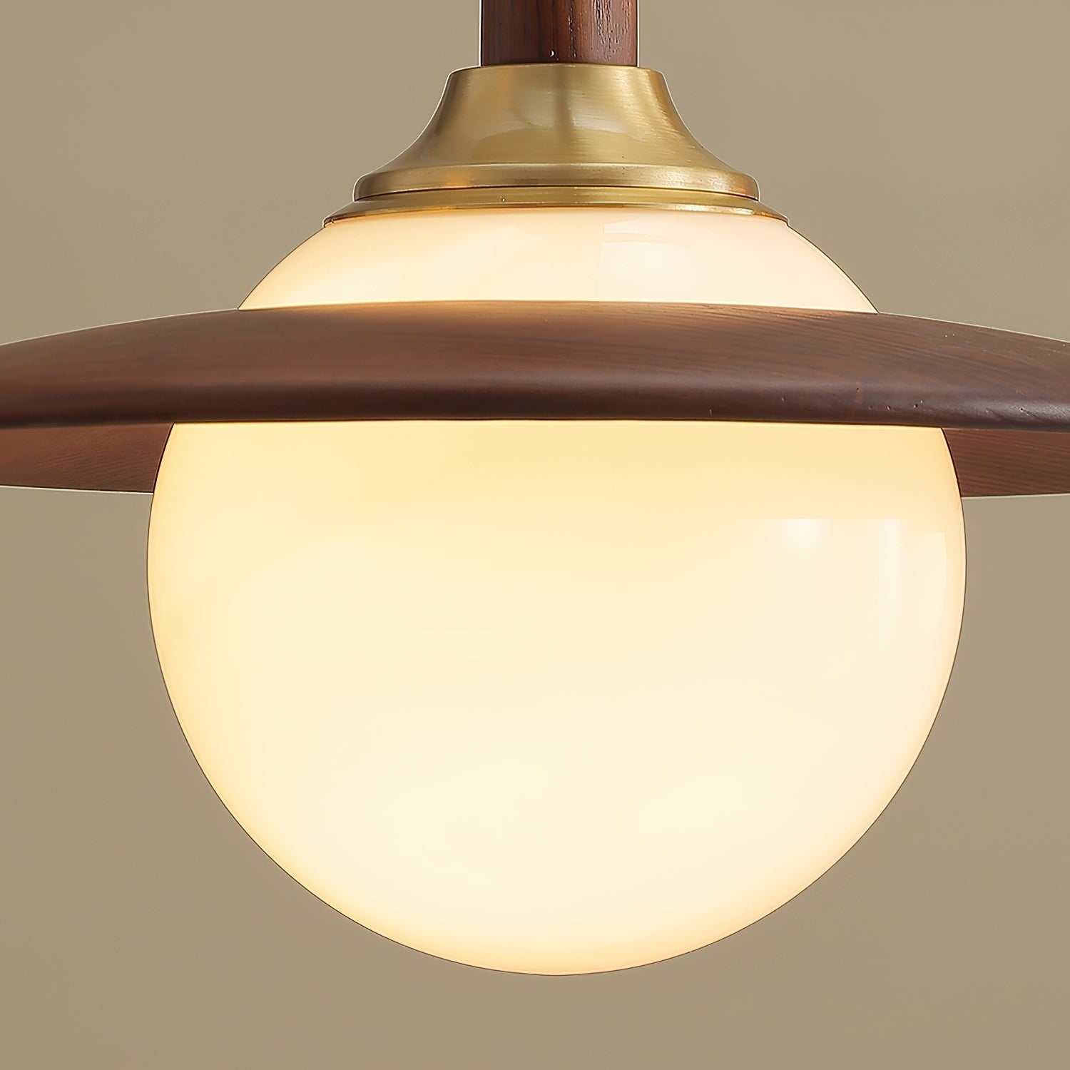 Stella Globe Pendant Light
