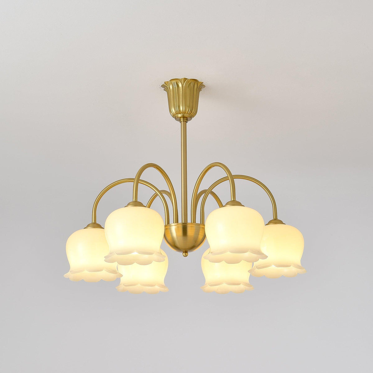 Solenora Chandelier Brass Elegant Curved Arm