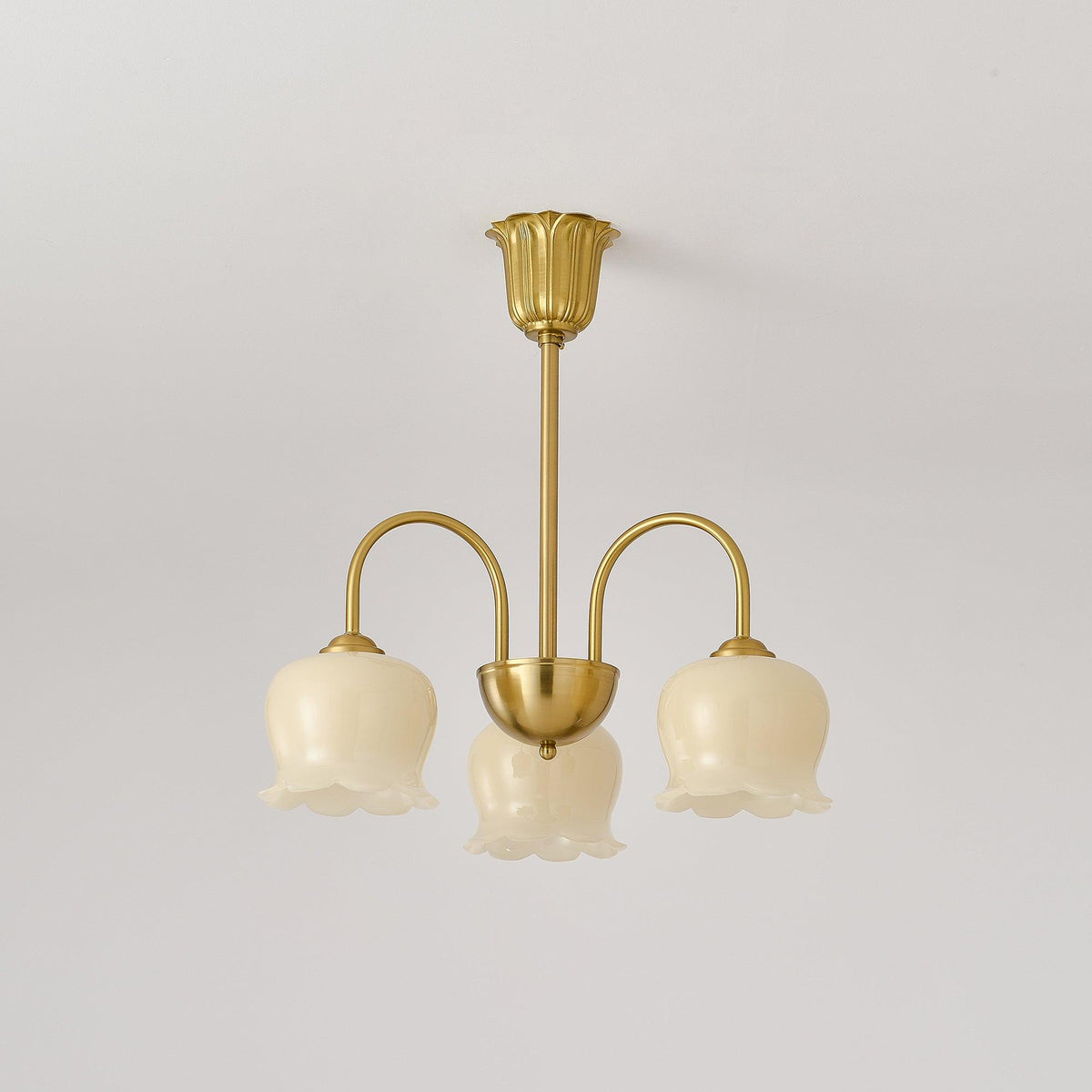 Solenora Chandelier Brass Elegant Curved Arm