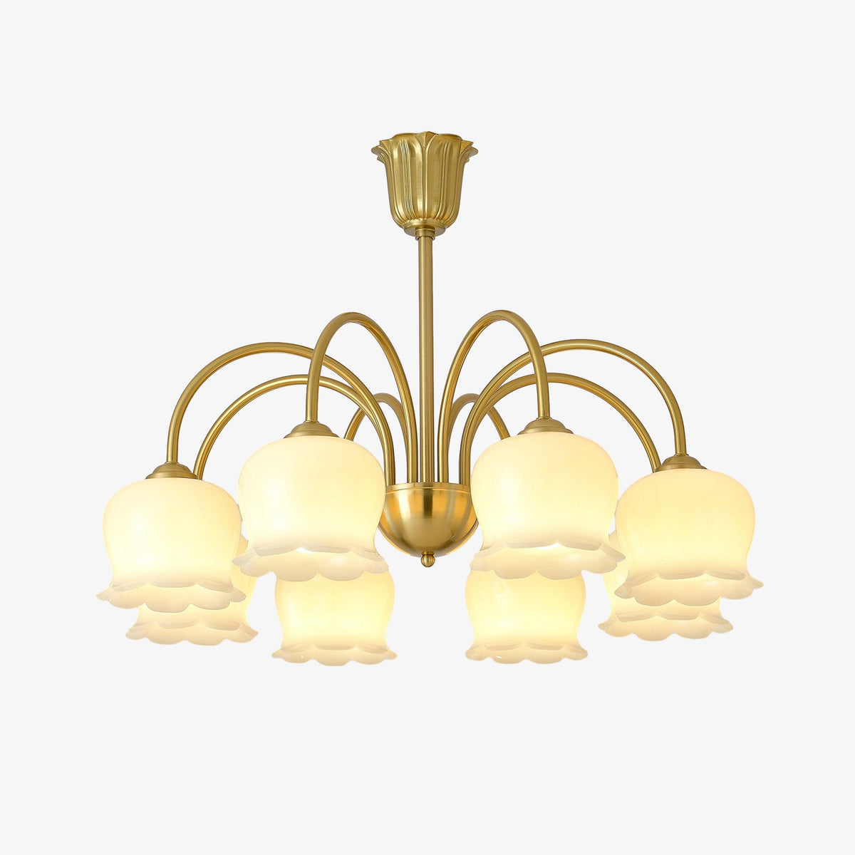Solenora Chandelier Brass Elegant Curved Arm