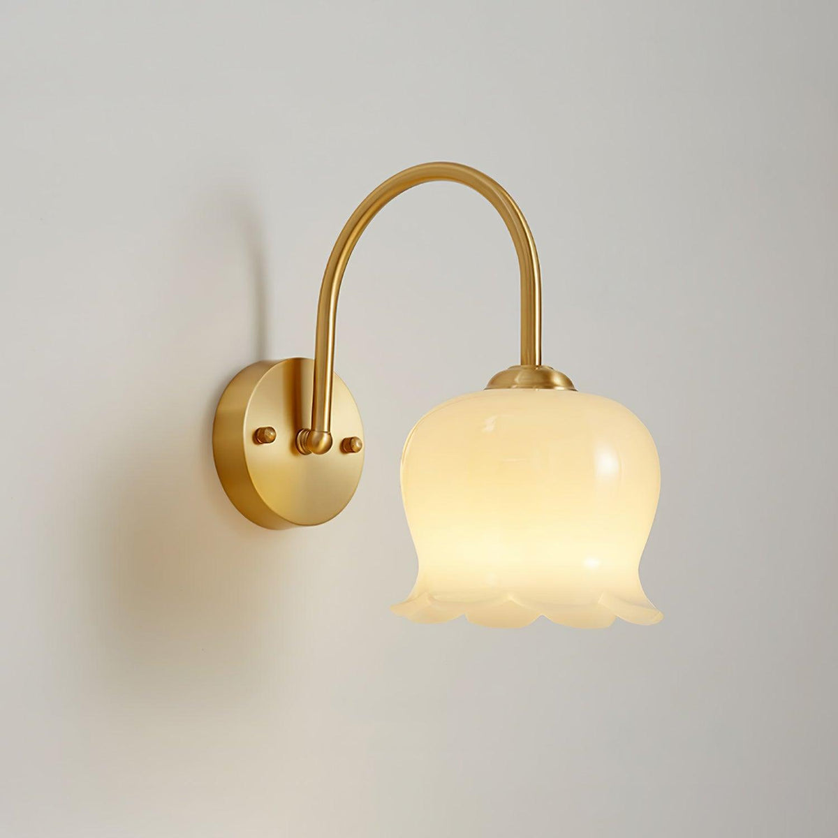 Avcarora Premium Nordic Art Brass Glass Wall Lamp