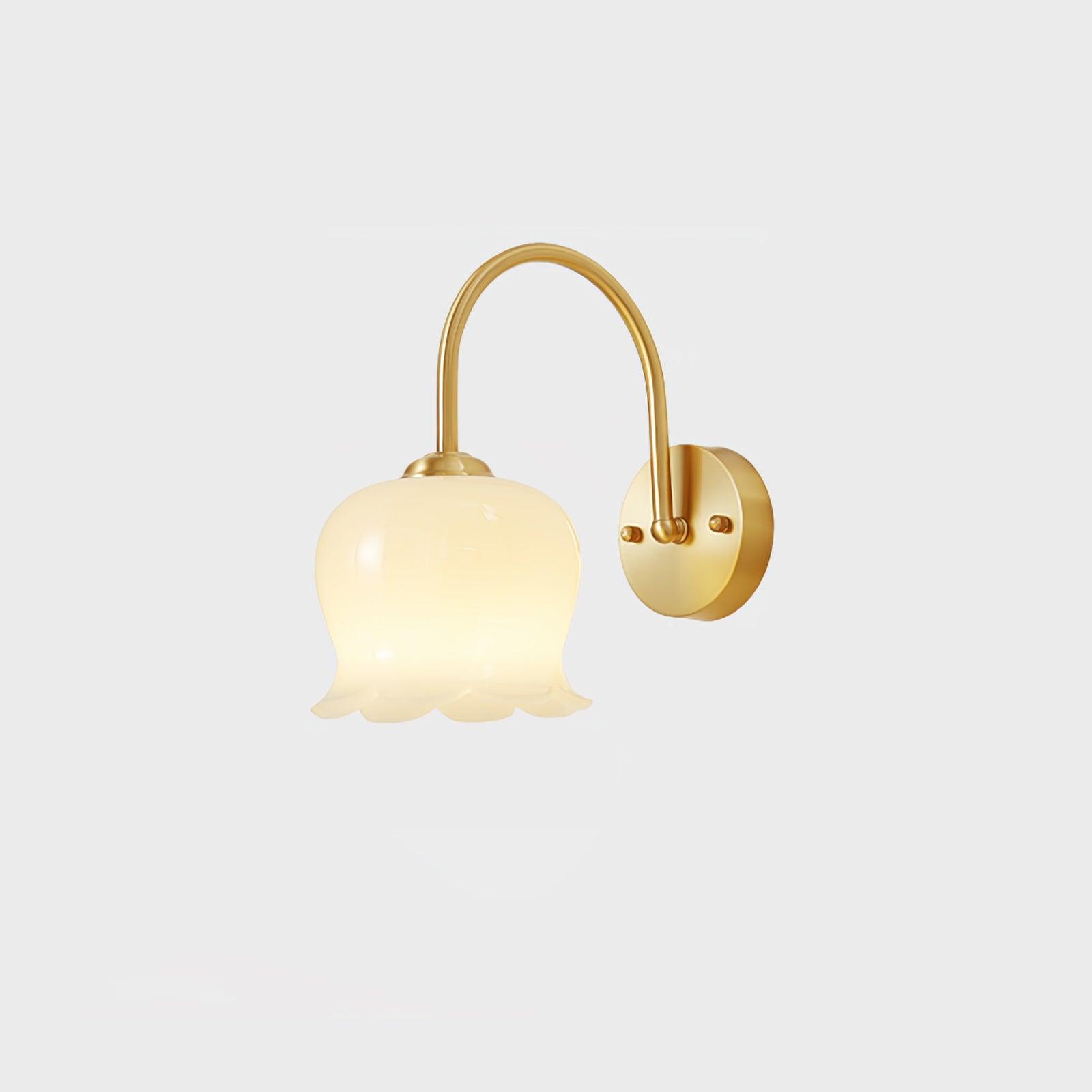 Avcarora Premium Nordic Art Brass Glass Wall Lamp