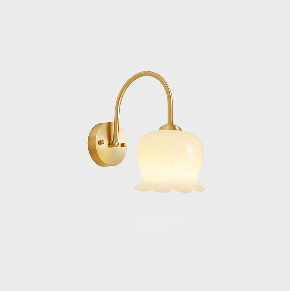 Avcarora Premium Nordic Art Brass Glass Wall Lamp