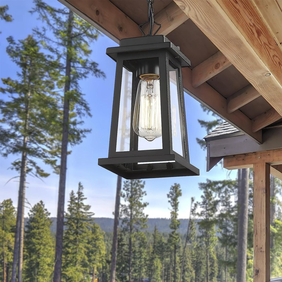 Terierenne Outdoor Lantern Pendant Light