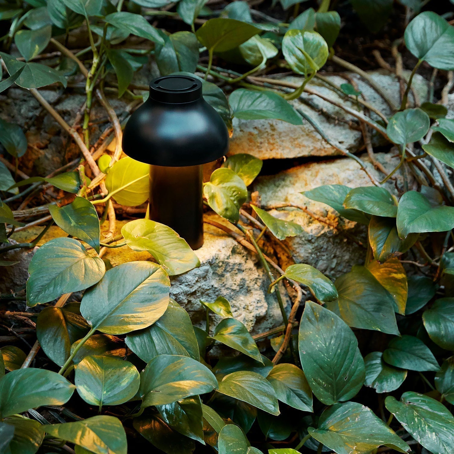Tierop Portable Table Lamp