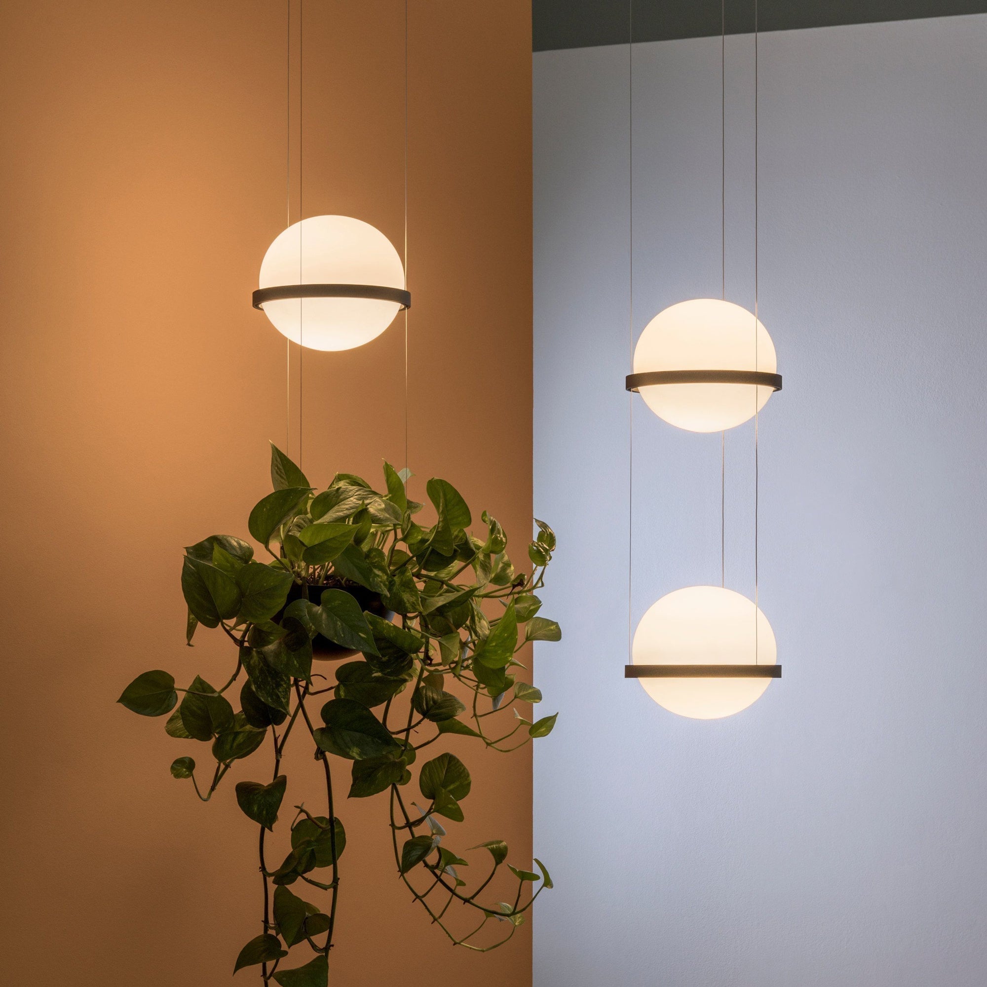 Niroise Acrylic Contemporary Pendant Lamp