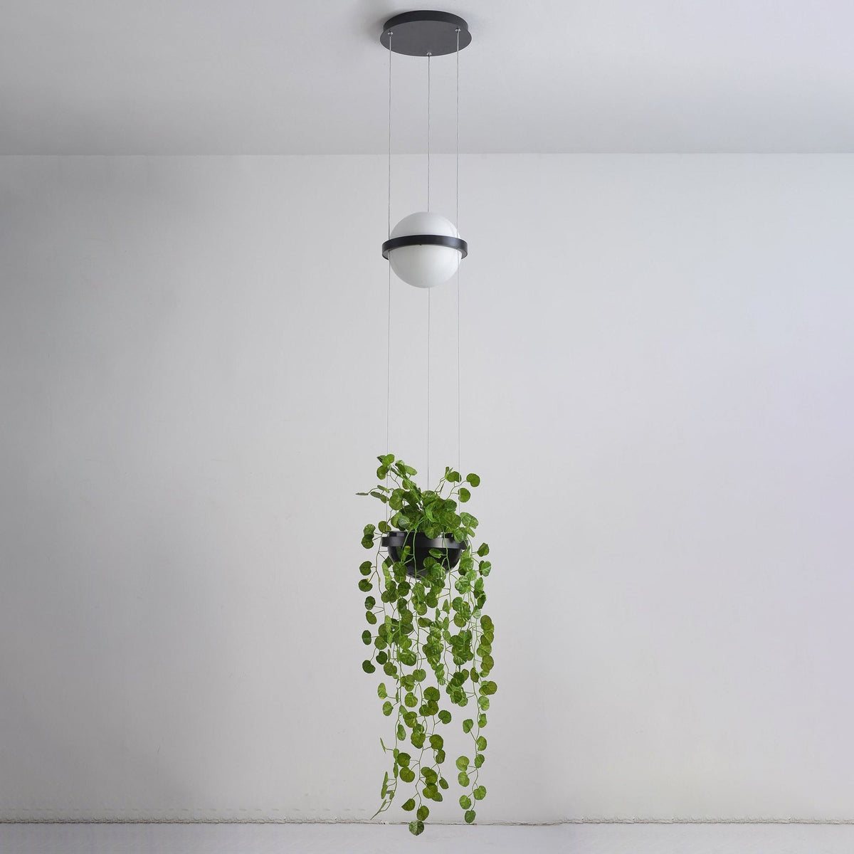 Niroise Acrylic Contemporary Pendant Lamp
