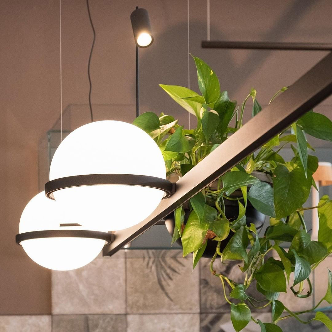 Niroise Acrylic Contemporary Pendant Lamp