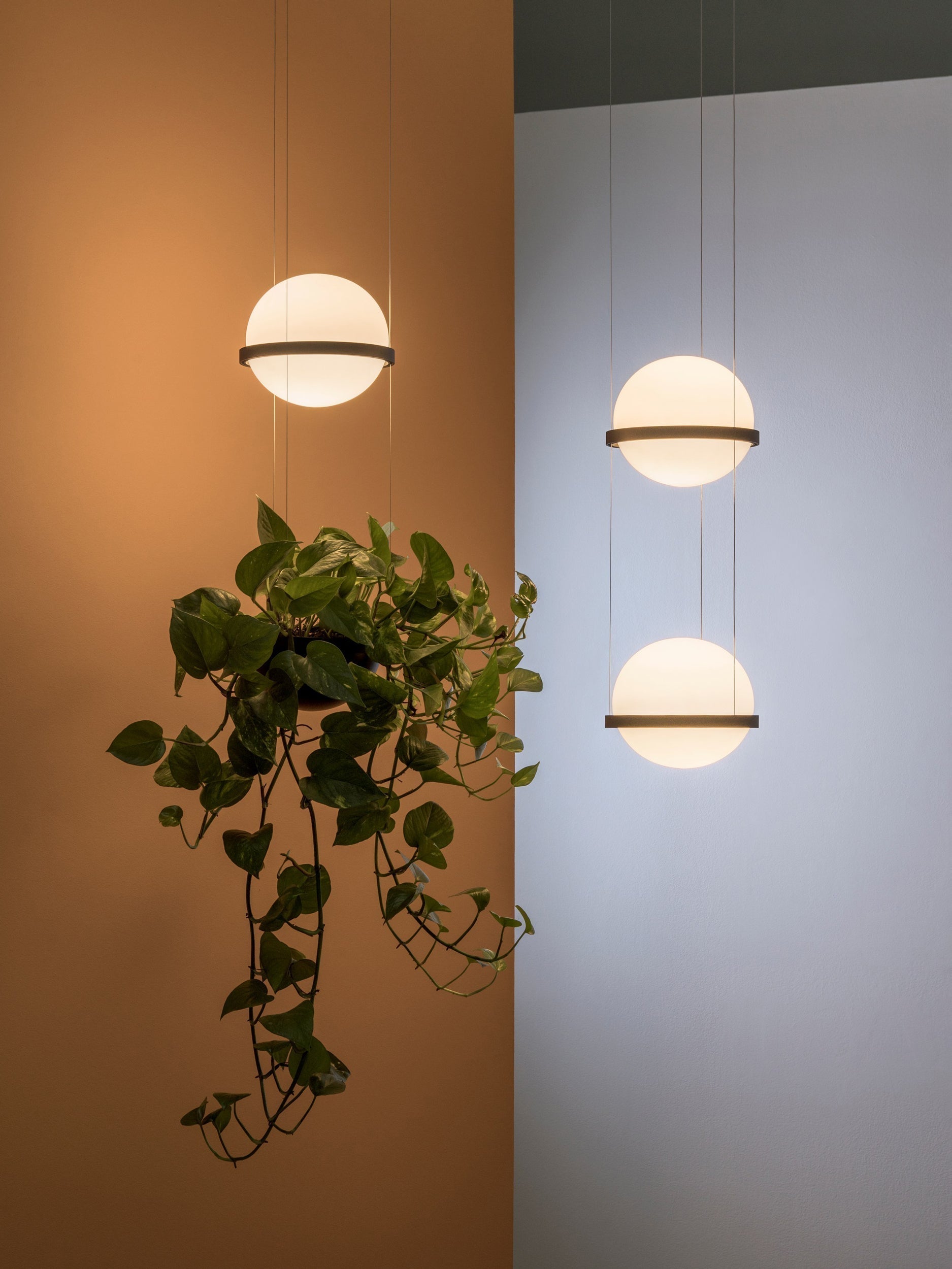 Niroise Acrylic Contemporary Pendant Lamp