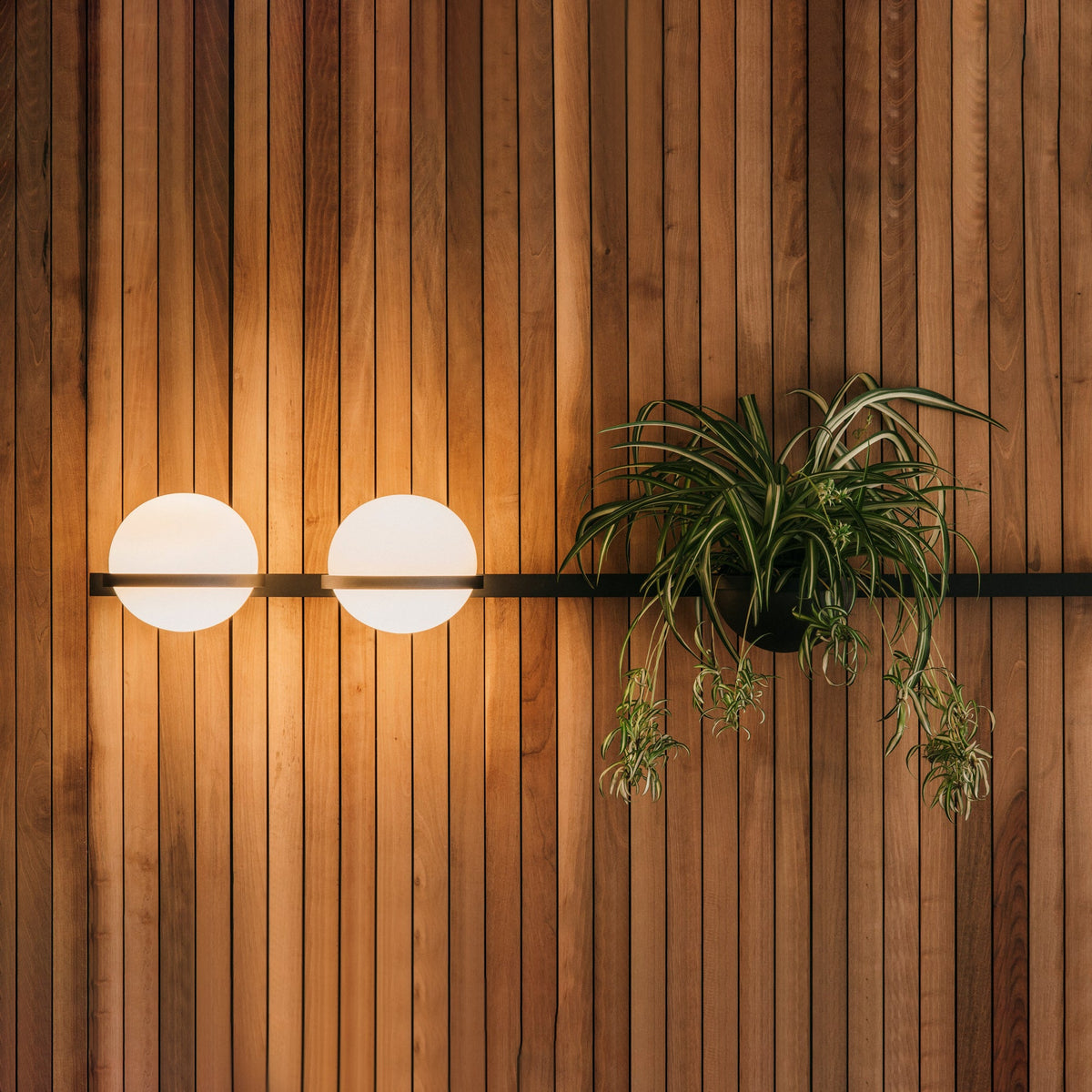 Elmarisra Modern Minimalist Wall Light