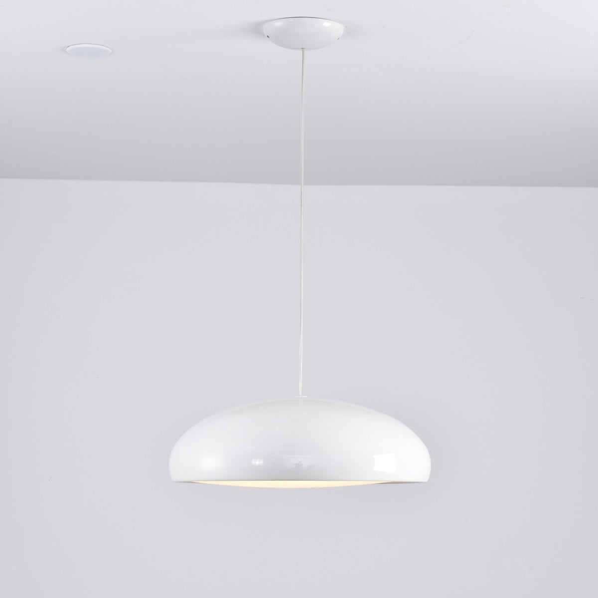 Renaraine Minimalist Pendant Lamp