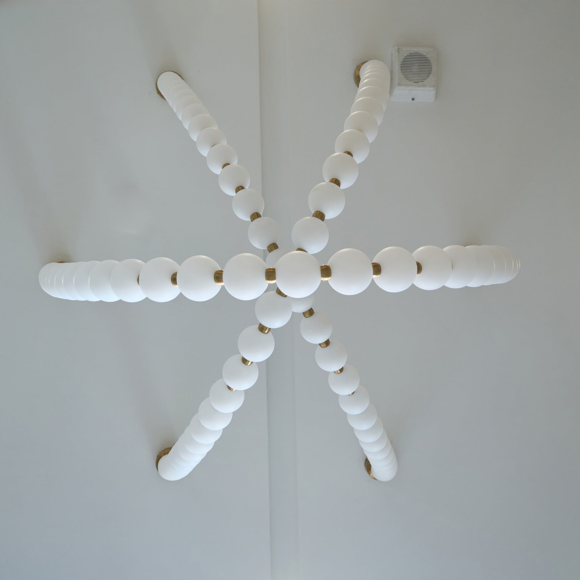 Liorenena Chandelier