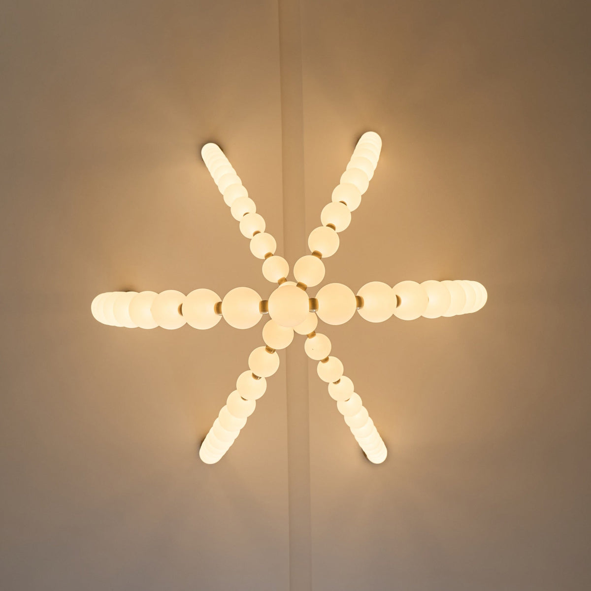 Liorenena Chandelier
