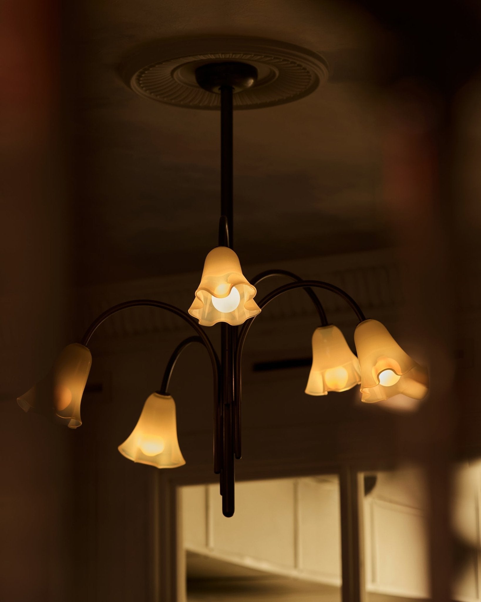 Lioreriel Chandelier Blossom Petal Glass Arms