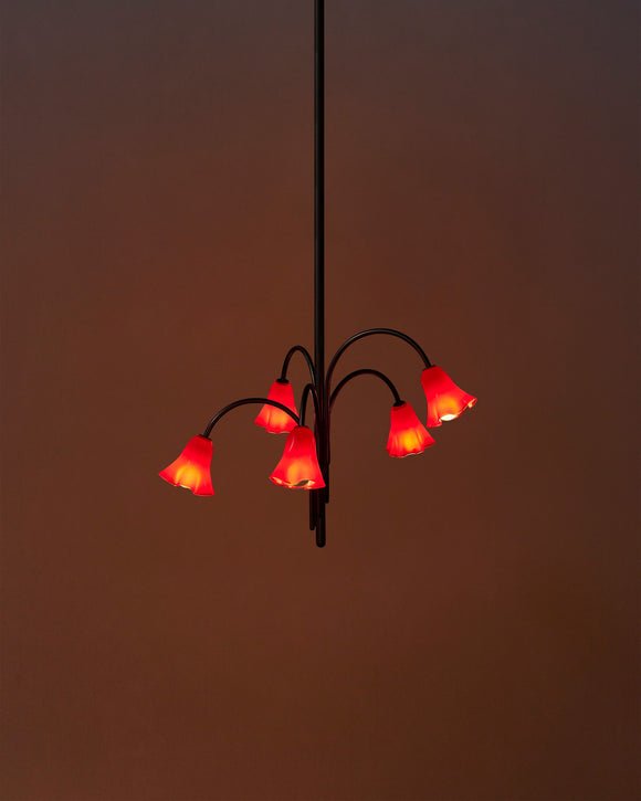Lioreriel Chandelier Blossom Petal Glass Arms