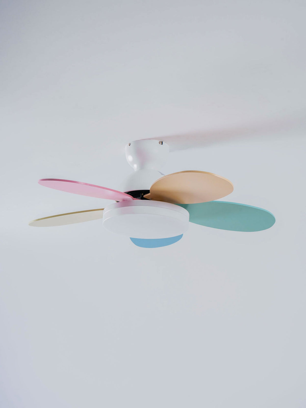 Norborne Wood Ceiling Fan Light
