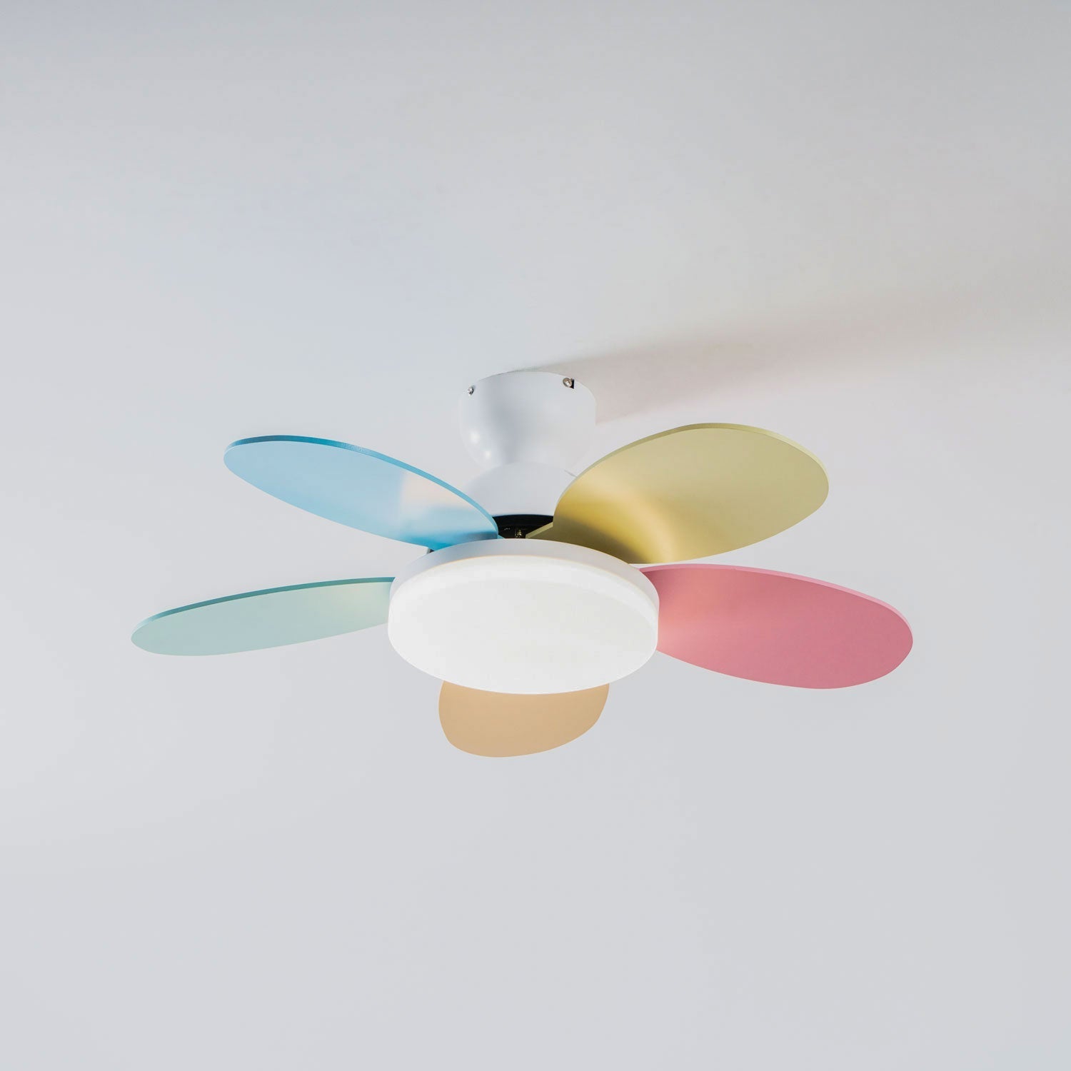 Norborne Wood Ceiling Fan Light