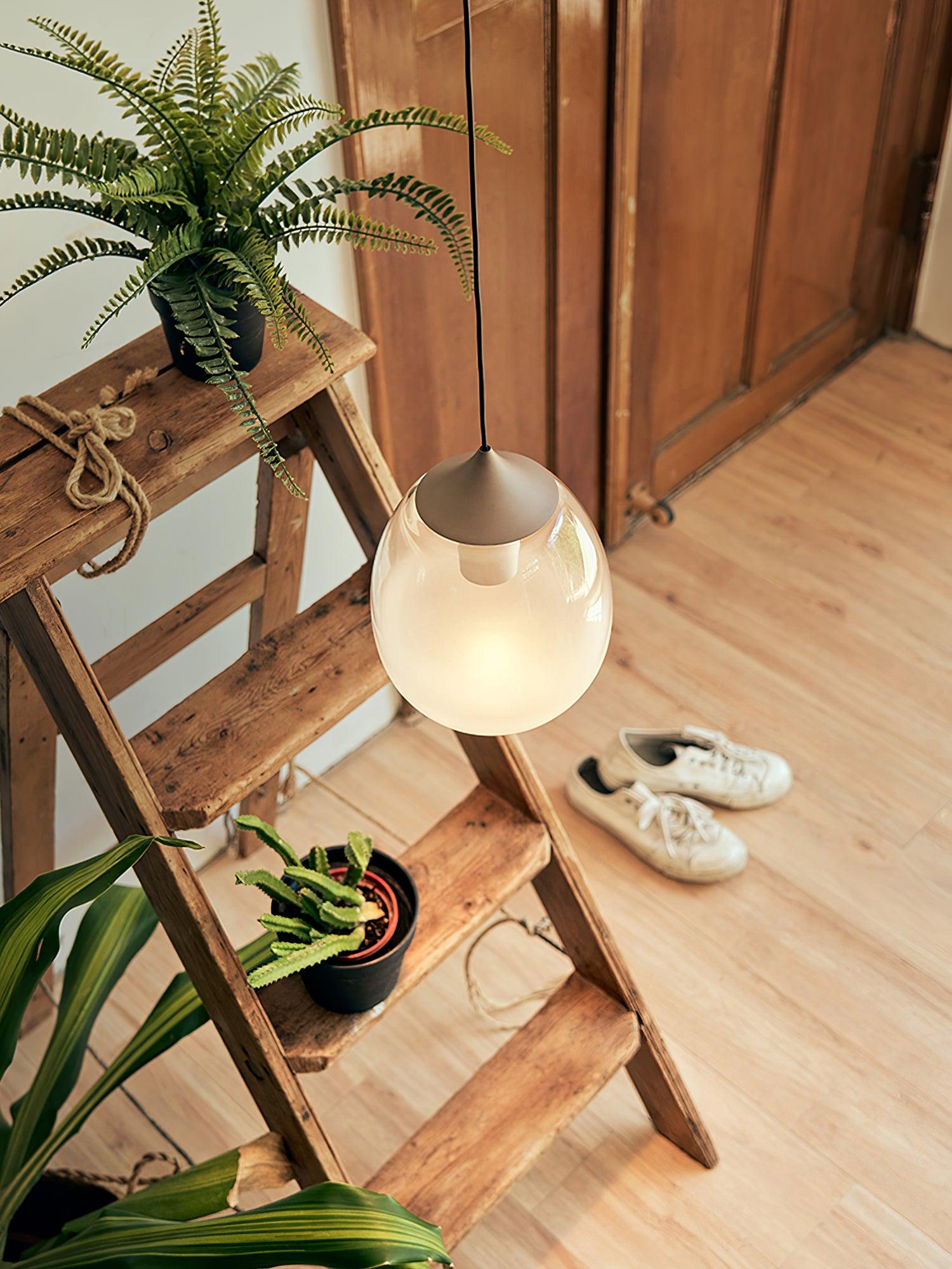 Ovoin Glass Artistic Pendant Light