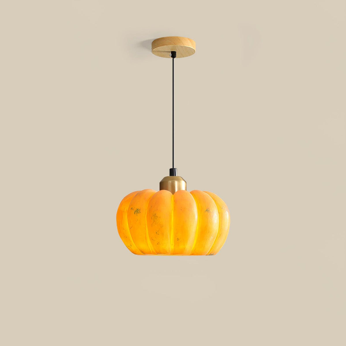 Hudson Modern Pendant Light