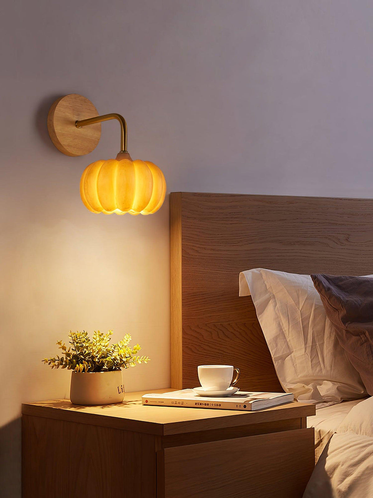 Vilorel Individual Creativity Pumpkin Wall Light