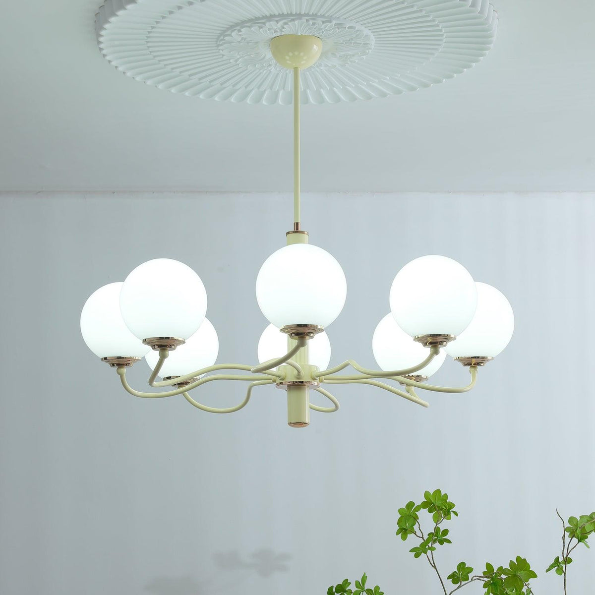 Seleora Chandelier Radiant Globe