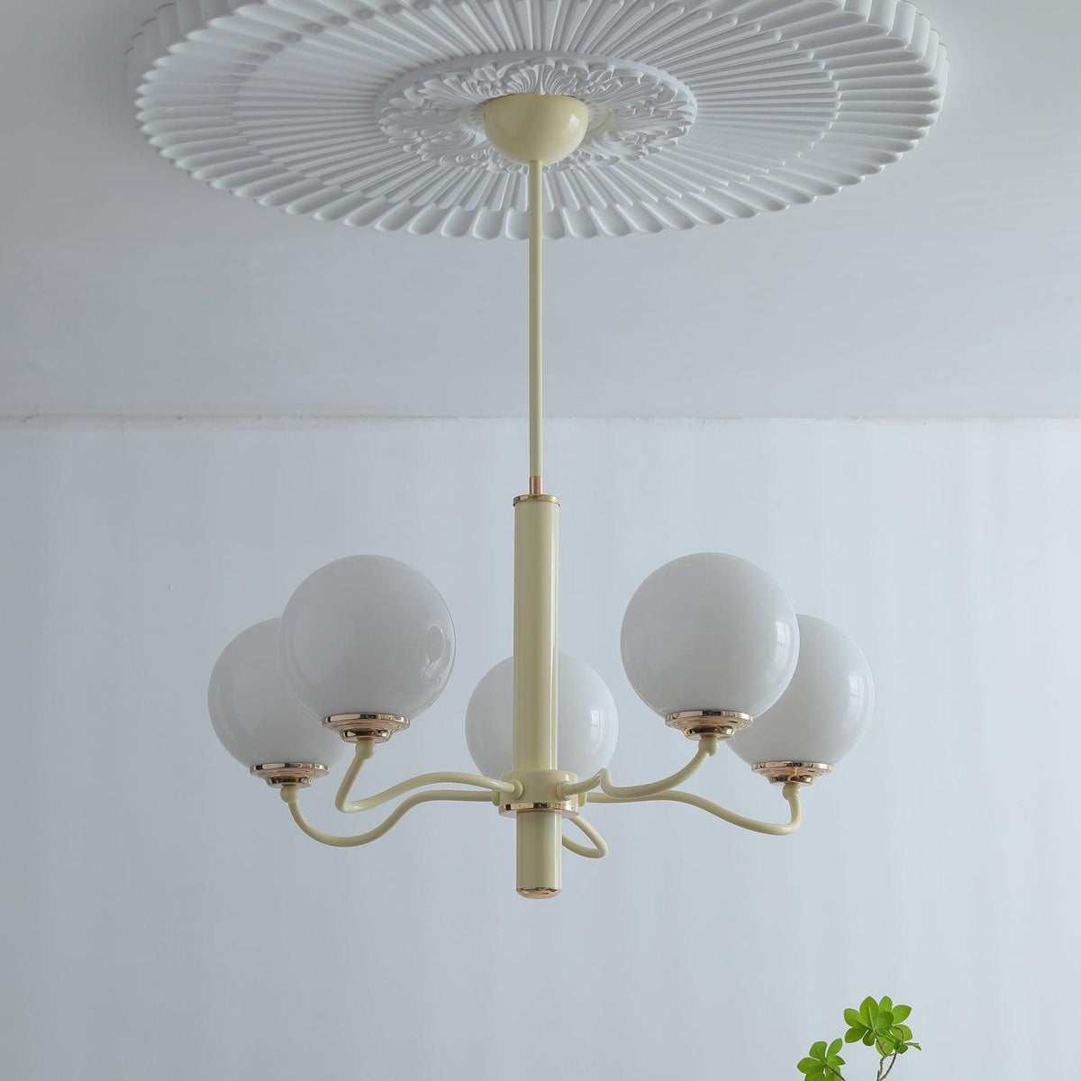 Seleora Chandelier Radiant Globe