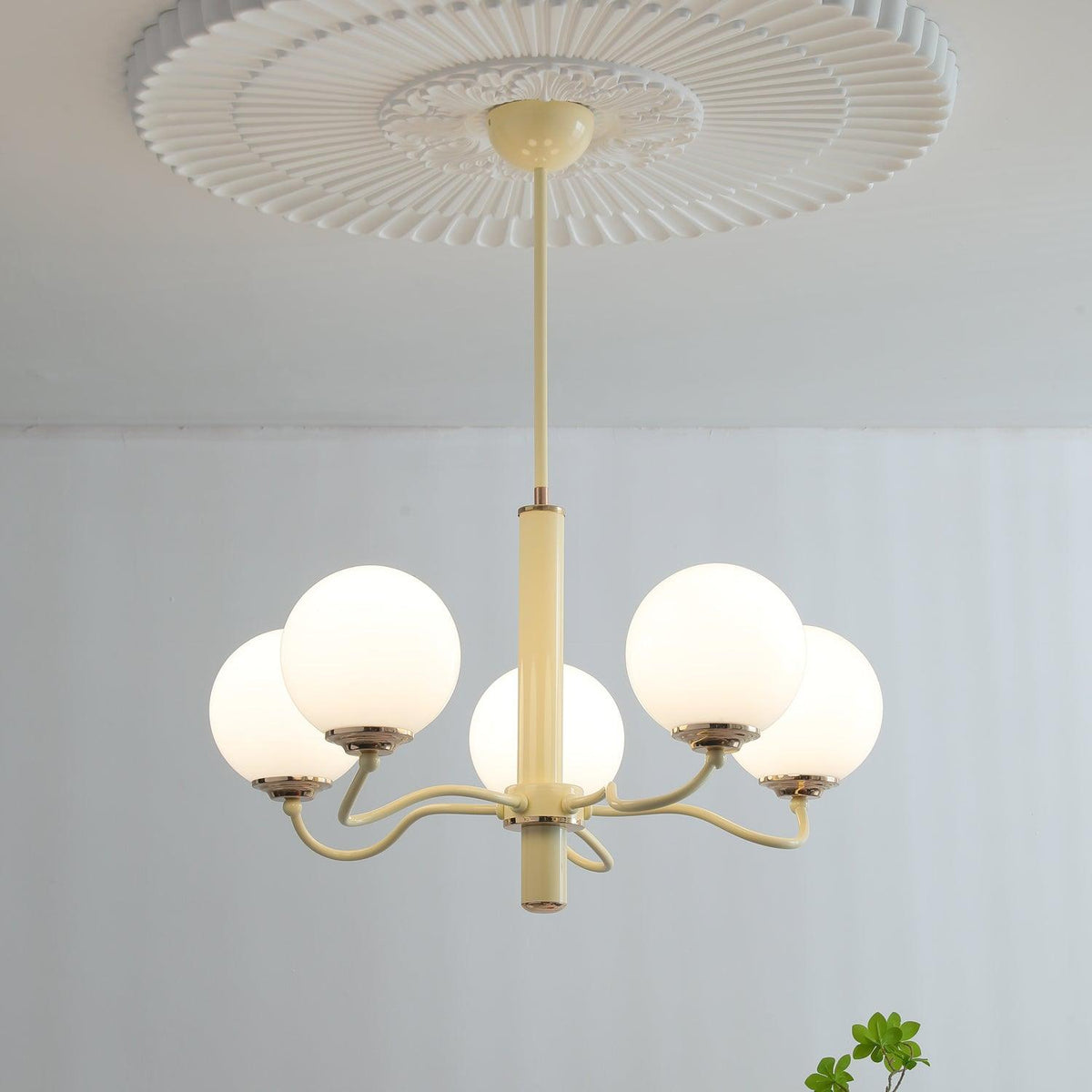 Seleora Chandelier Radiant Globe