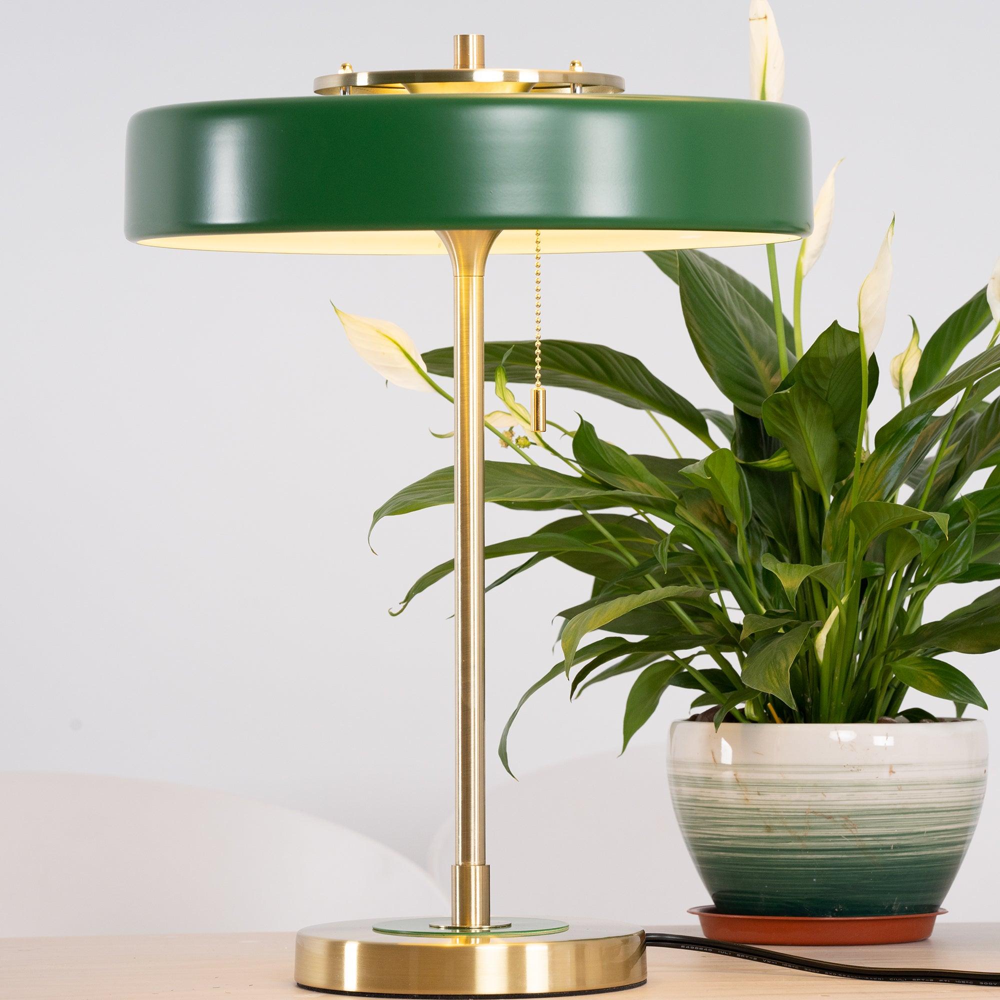 Paula Modern Table Lamp