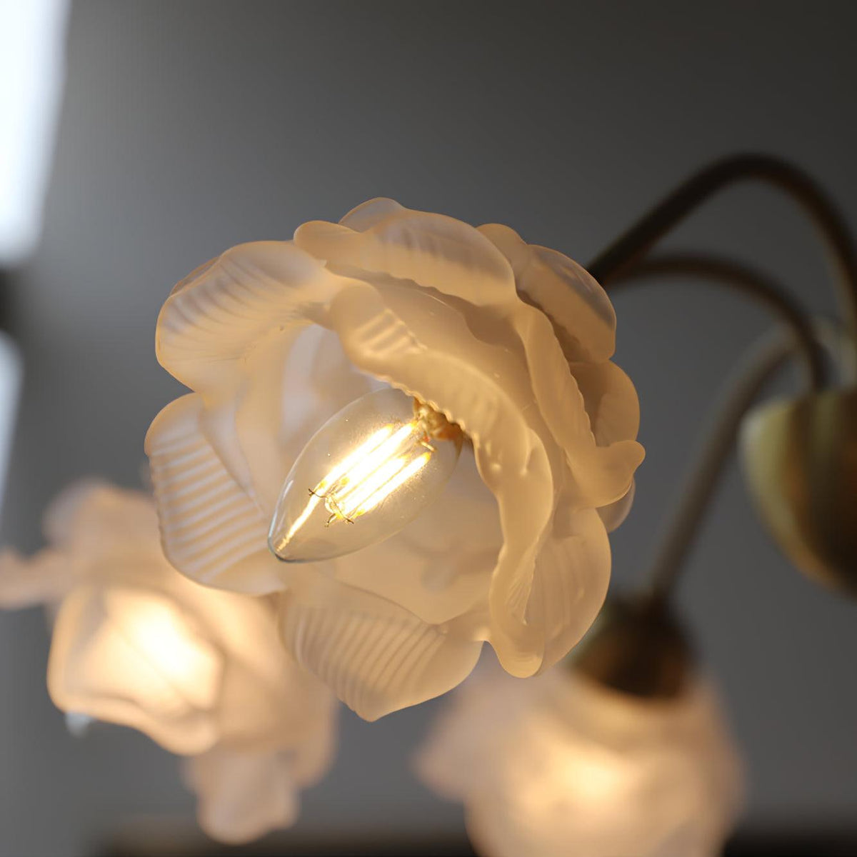 Brenis Chandelier Brass Glass Rose Floral