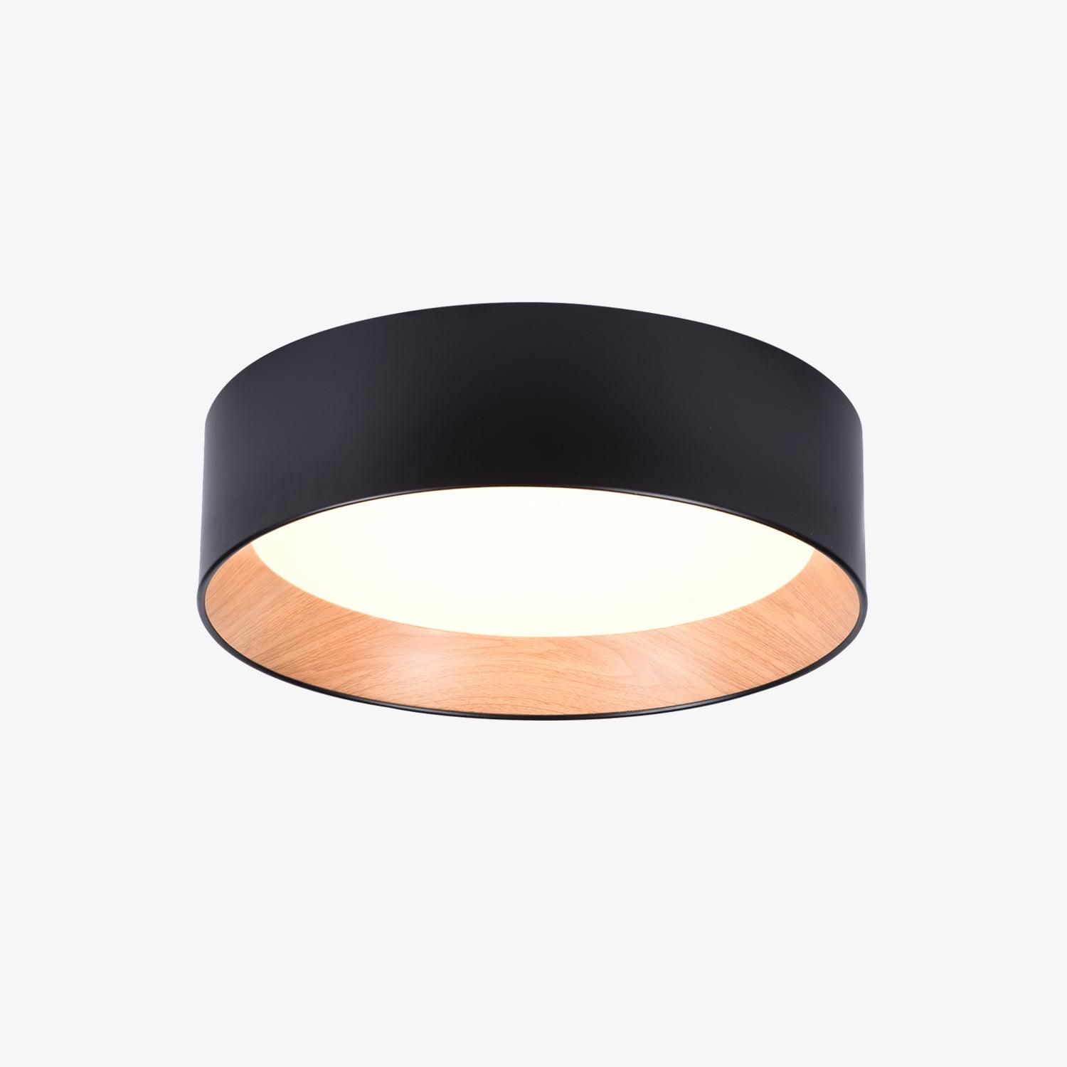 Cirarena Modern Minimalist Round Ceiling Lamp