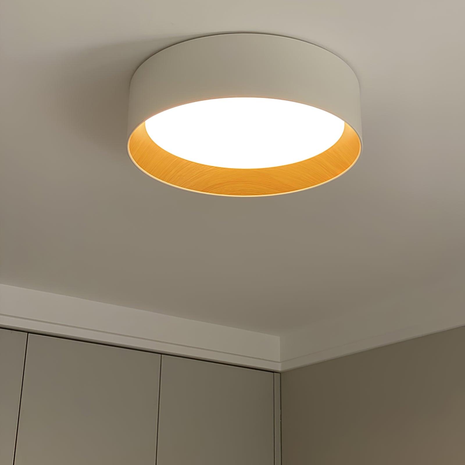 Cirarena Modern Minimalist Round Ceiling Lamp