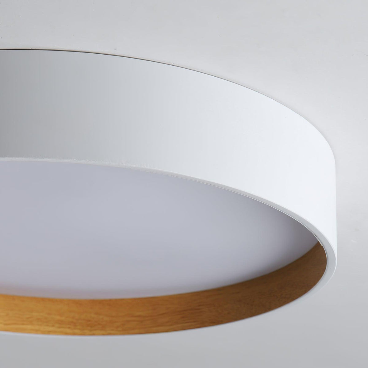 Cirarena Modern Minimalist Round Ceiling Lamp