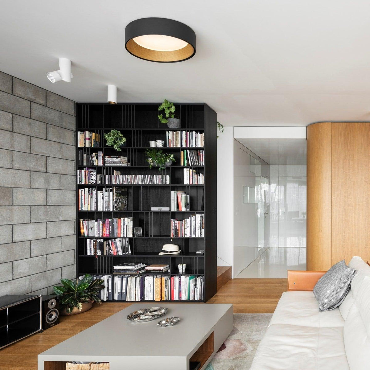Cirarena Modern Minimalist Round Ceiling Lamp