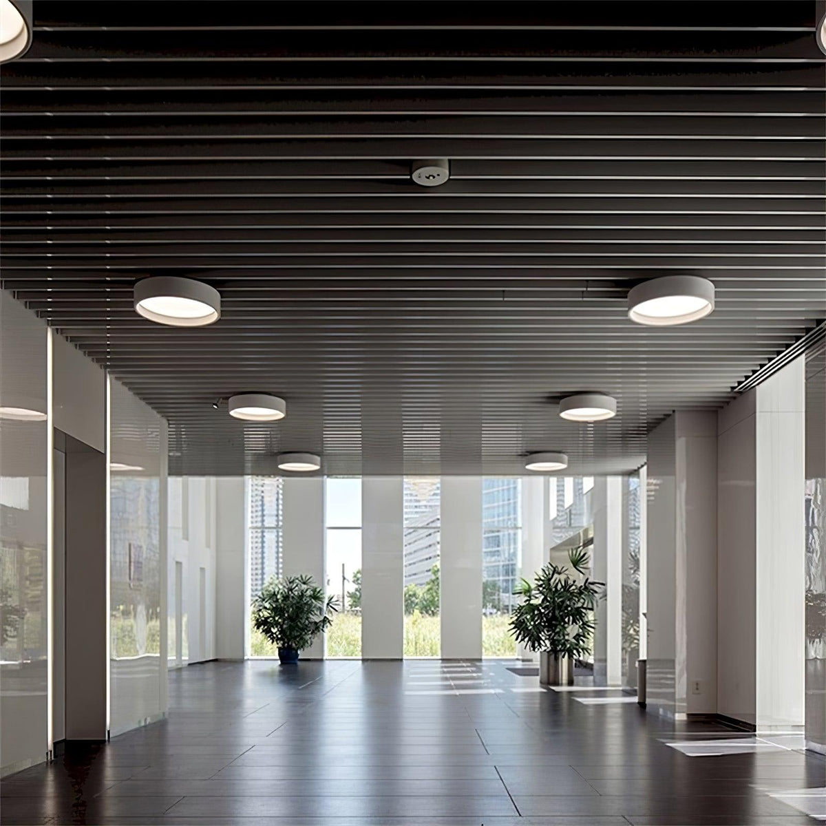 Cirarena Modern Minimalist Round Ceiling Lamp