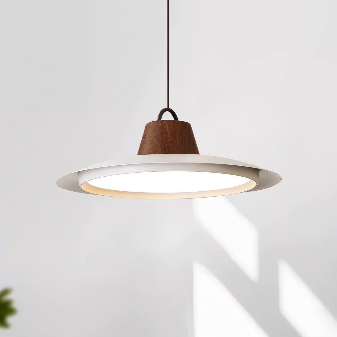 Liorivaine Modern Pendant Light