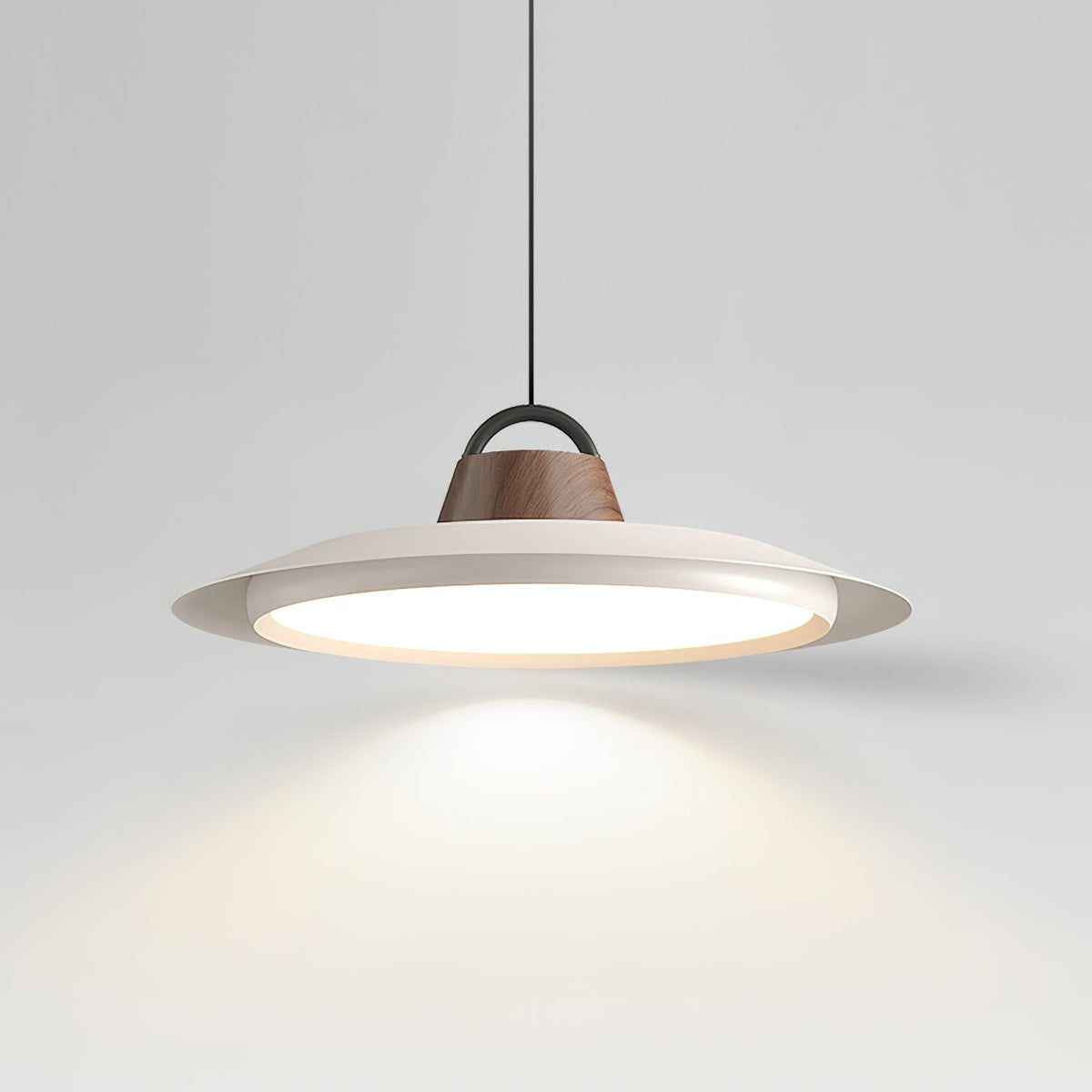 Liorivaine Modern Pendant Light
