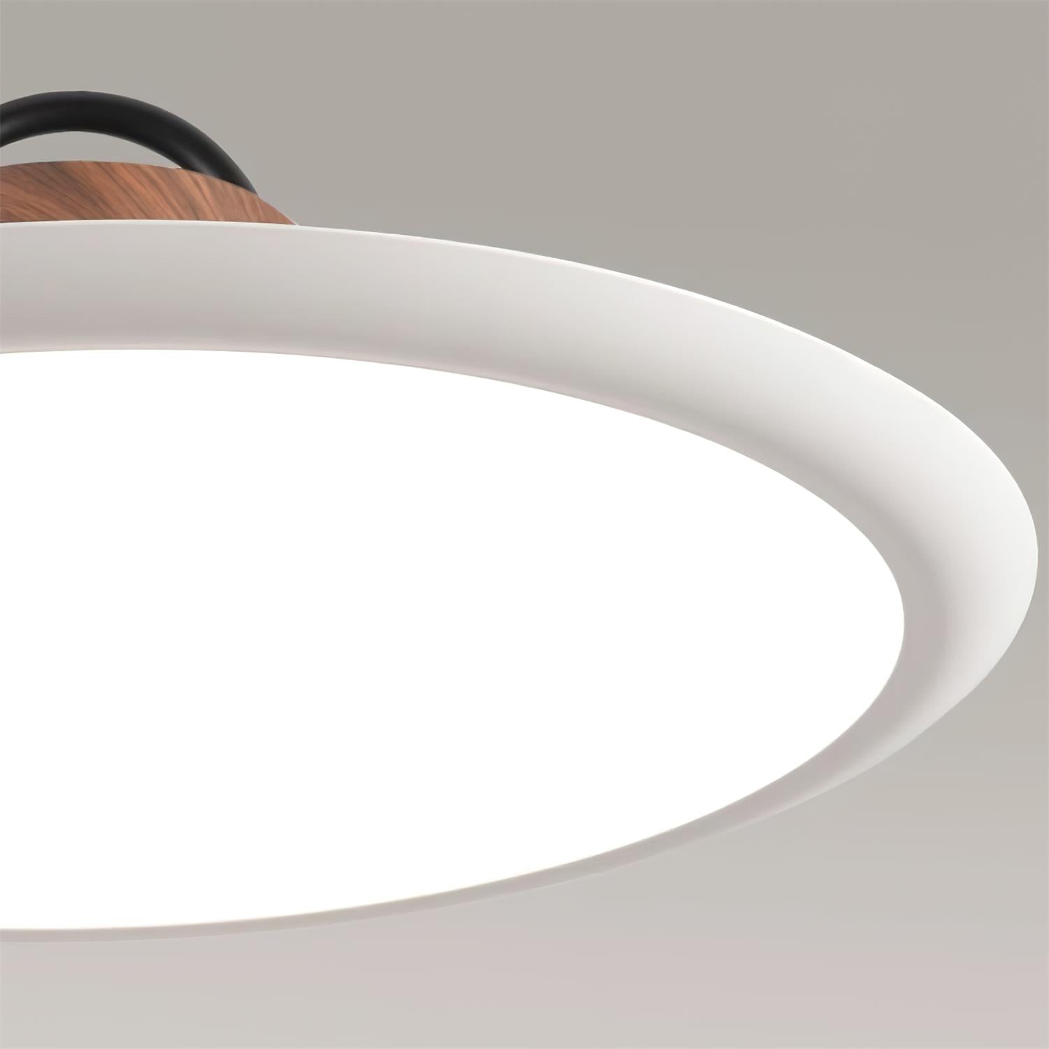 Liorivaine Modern Pendant Light