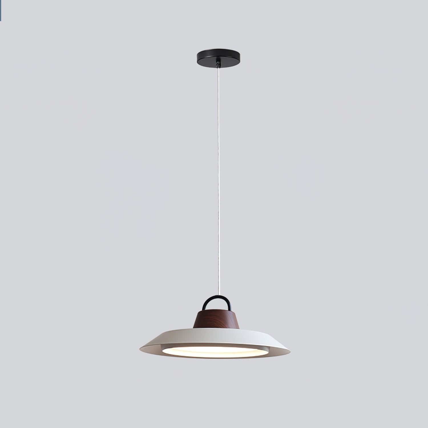 Liorivaine Modern Pendant Light