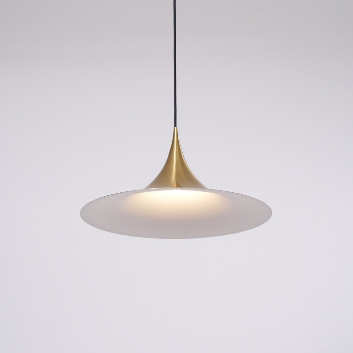 Lioreina Swag Pendant Light