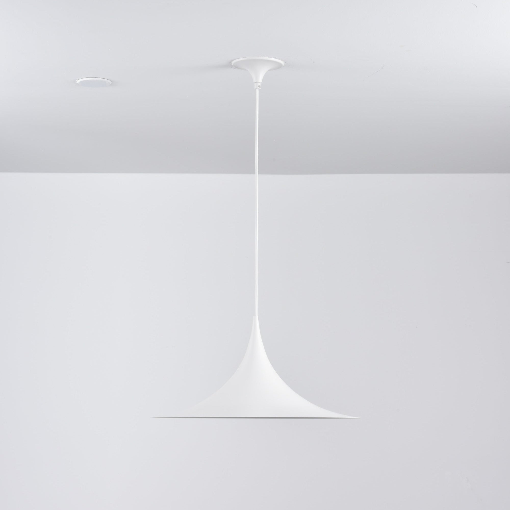 Valerira Steel Sculptural Pendant Light