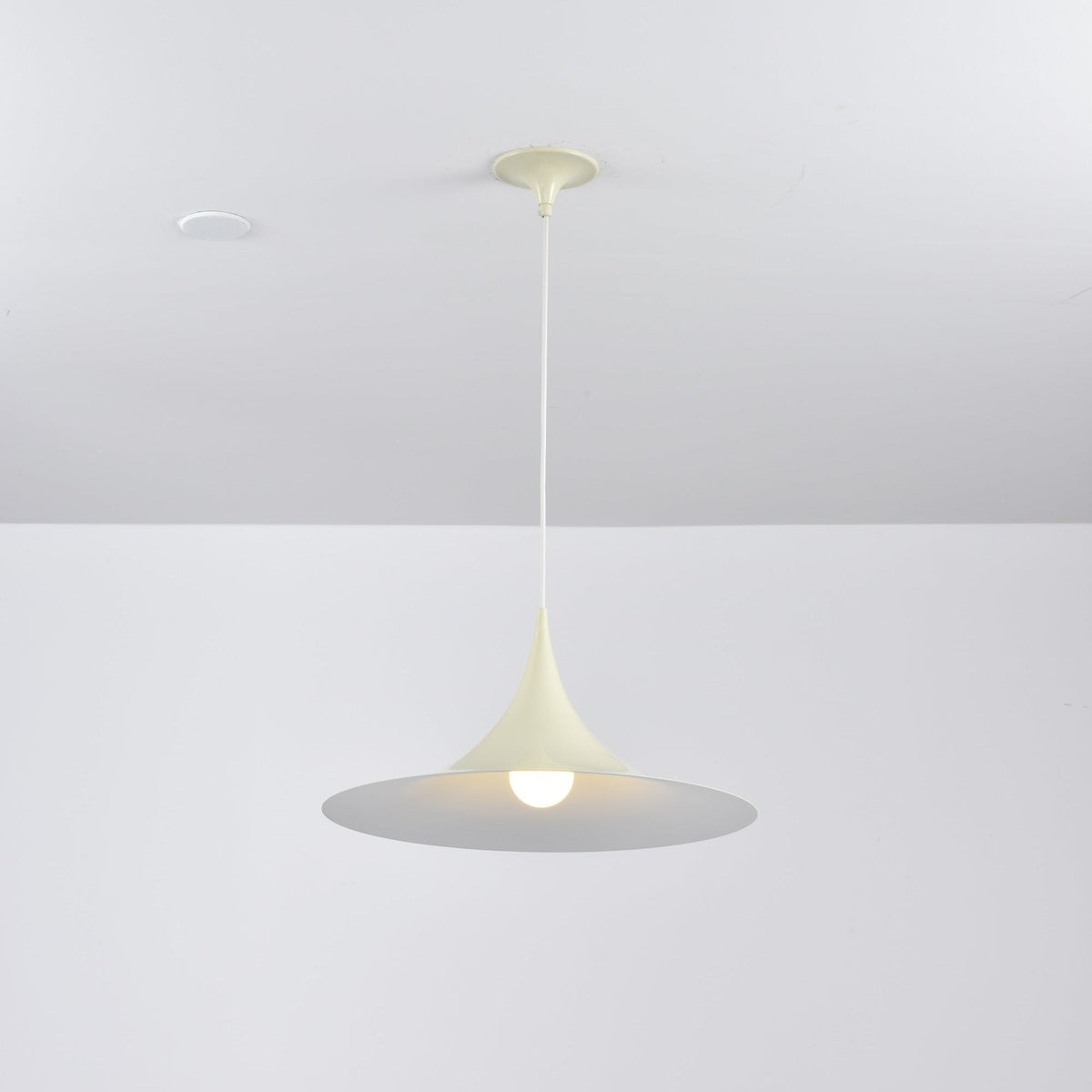 Lioreina Swag Pendant Light