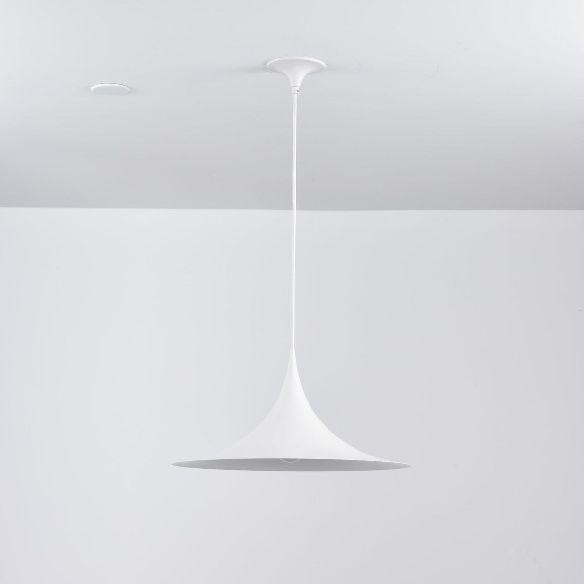 Valerira Steel Sculptural Pendant Light