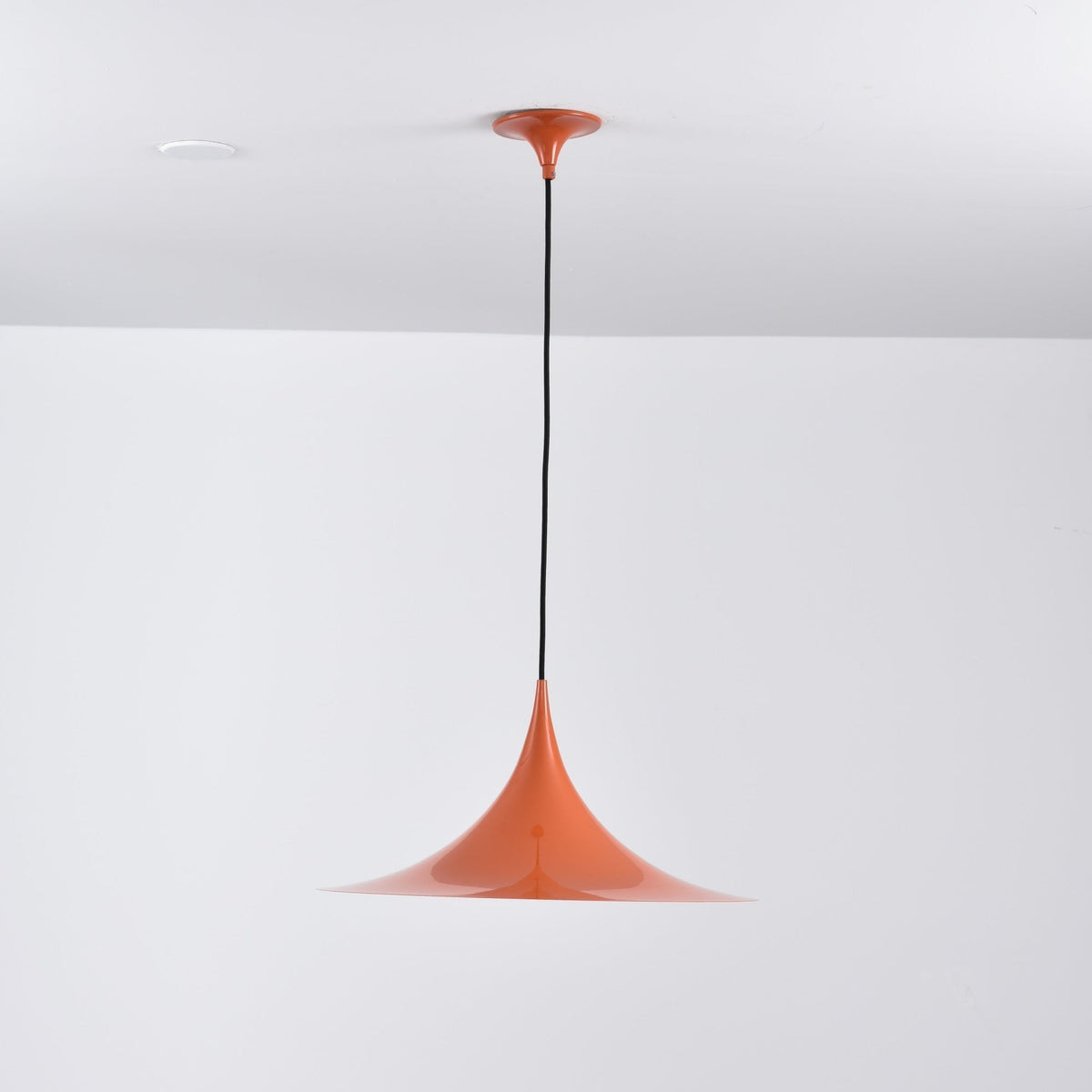 Lioreina Swag Pendant Light