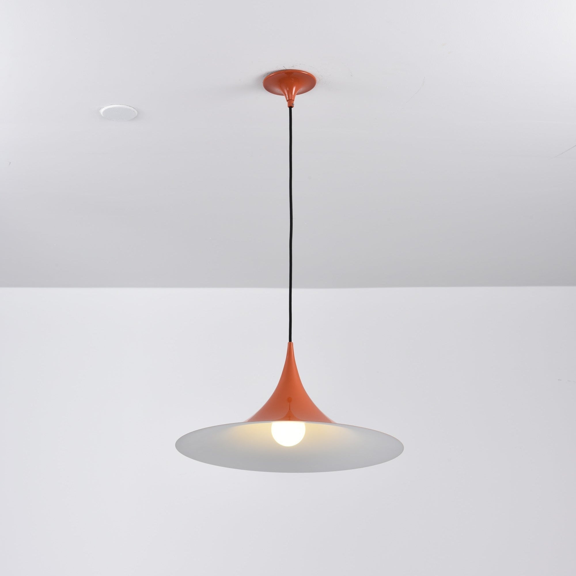 Valerira Steel Sculptural Pendant Light