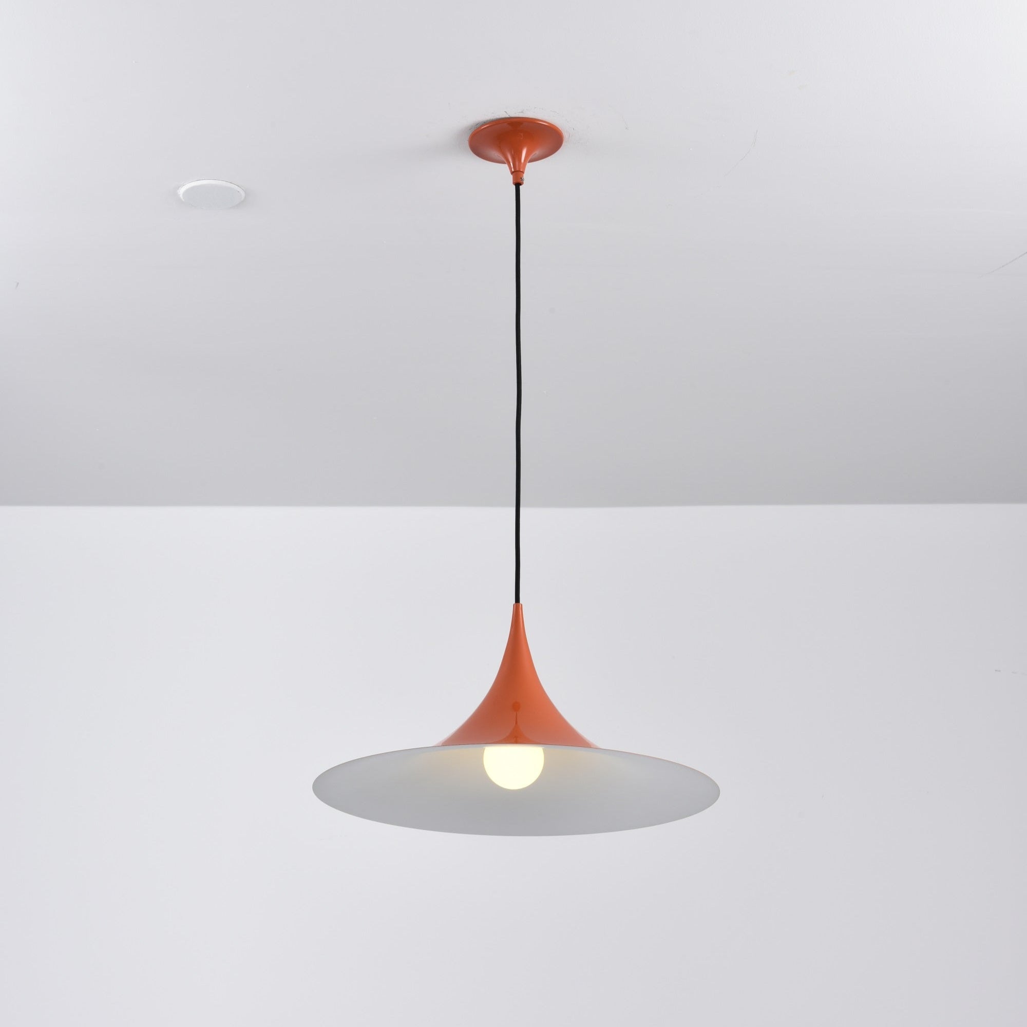 Valerira Steel Sculptural Pendant Light